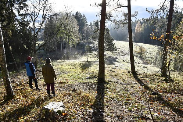 SLC - Helmi Brodtorp 3 A Webben