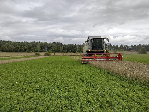 SLC - Lusern Lf 7 Bild 1 Troskning