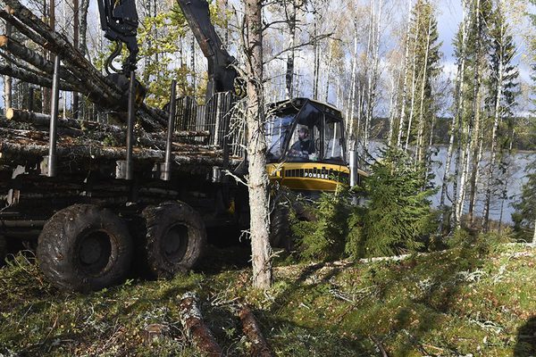 SLC - Oskog 4 B Webben