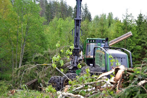 SLC - Sommaravverkningar