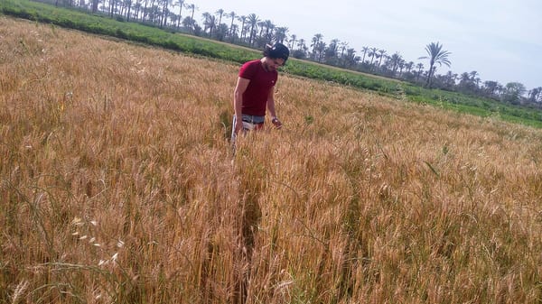 SLC - Egypten 1