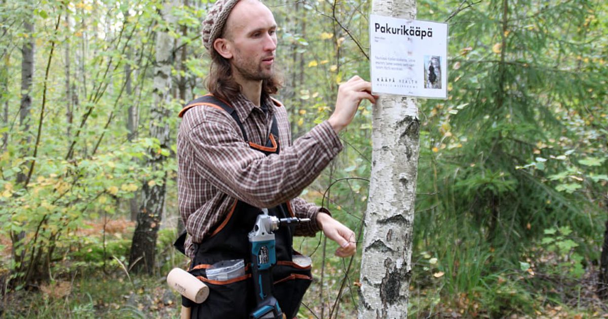 Odlade Tickor Ger Nya Inkomster Landsbygdens Folk odlade-tickor-ger-nya-inkomster-landsbygdens-folk