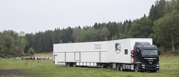 SLC - Halsingestintan Slakteri