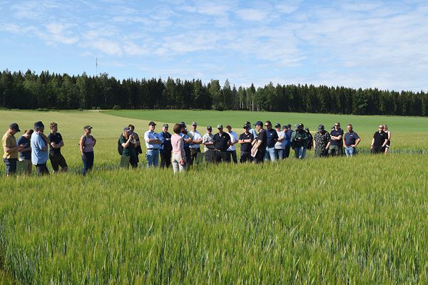 SLC - Faltvandring 1 Webben