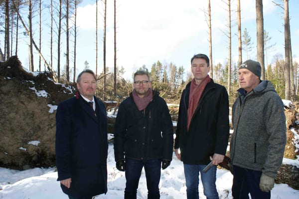 SLC - Mats I Skogen
