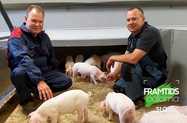 SLC - Framtidsodlarna Holm Paxal