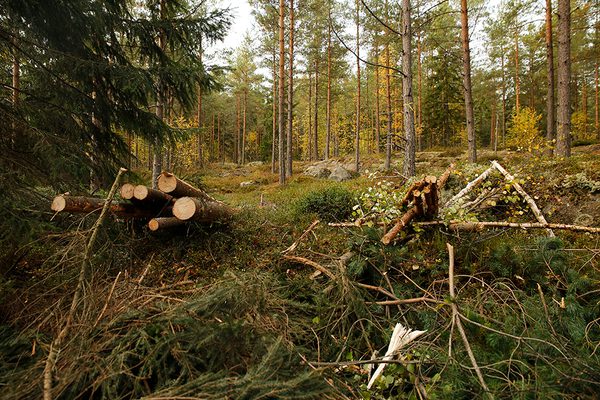 SLC - Energiavverkningar 3 Webben