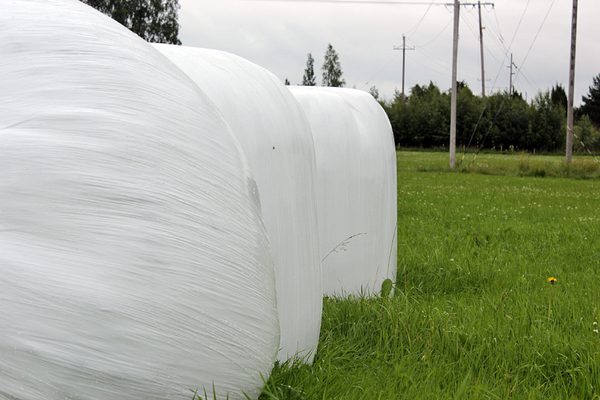 SLC - Ensilagebalar