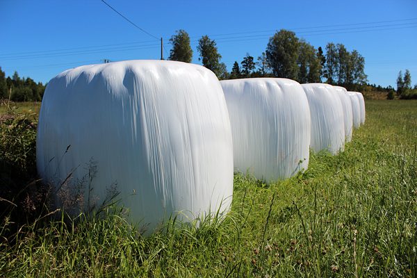 SLC - Ensilagebalar 6070