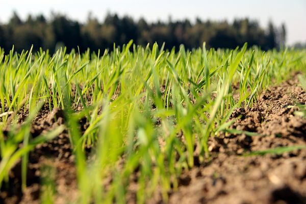 SLC - Hostvete Sep24 Nvk