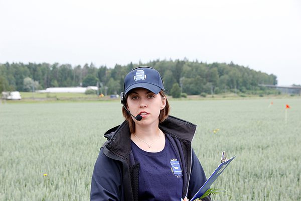 SLC - Nsl Jasmin Isotupa