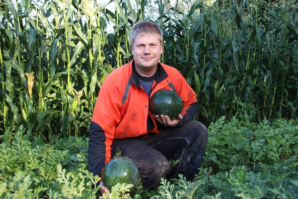 SLC - Vattenmelon 1 A Webben