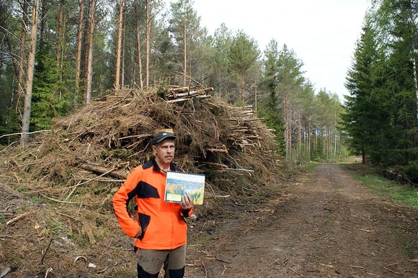 SLC - Plantering 1 Webben