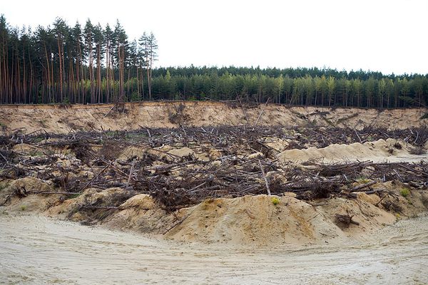 SLC - 42305829 Deforestation Forest Disaster Change Climate Global