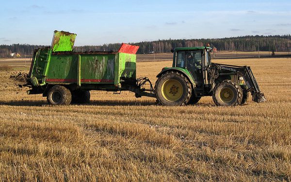 SLC - 66417301 2329371290472885 836878754197274624 O