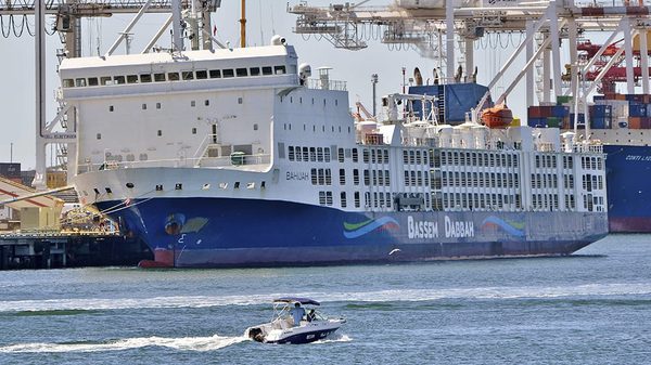 SLC - Bahijah Fremantle 2018 02