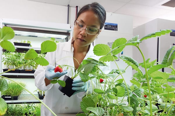 SLC - Bayer Research 104