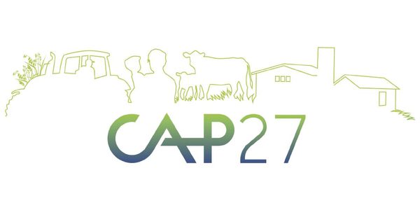 SLC - Cap Logo Siluetti 01