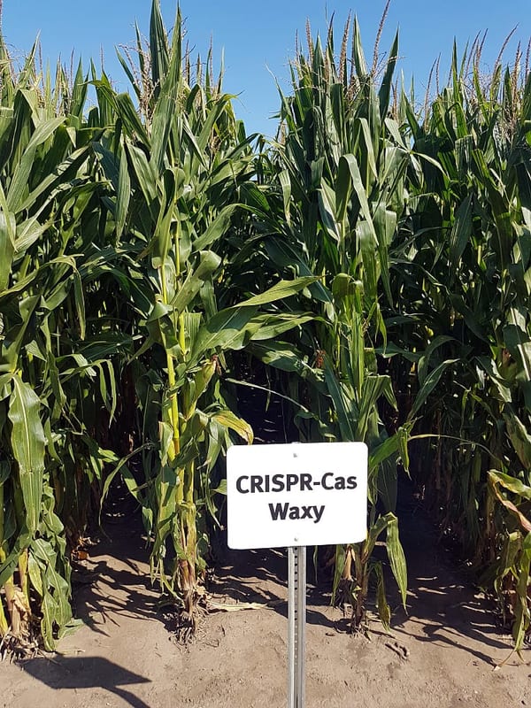 SLC - Dif Xq5 Bwaaa2 Af U