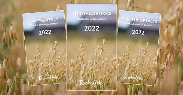 SLC - Faktagaffeln 2022