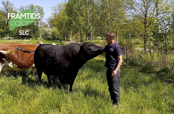 SLC - Framtidsodlarna Jagerskiold