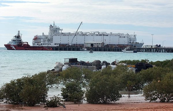 SLC - Livestock Boat