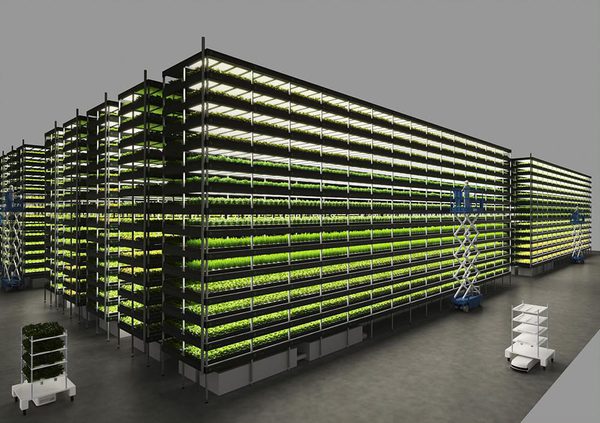 SLC - Nordic Harvest Webben