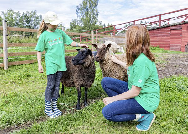 SLC - Ruokakoulu Matskolan Kati Laszka 3635