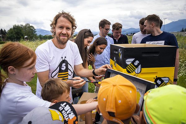 SLC - Sebastian Vettel Bienenstock
