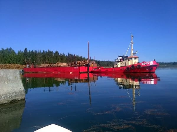 SLC - Skardgardavverkning