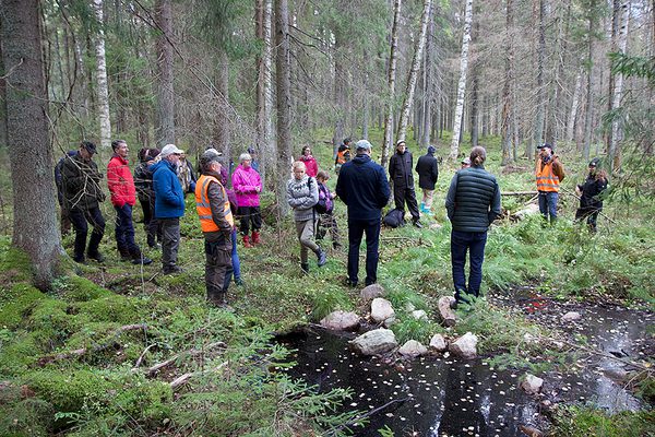 SLC - Skogsradet Hyvinge bild