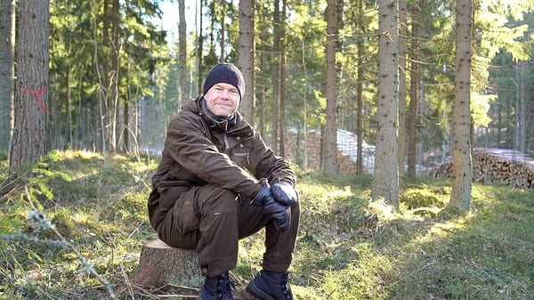 SLC - Skogsstiftelsen 1 B Webben