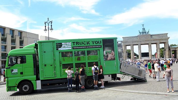 SLC - Tiertransporter