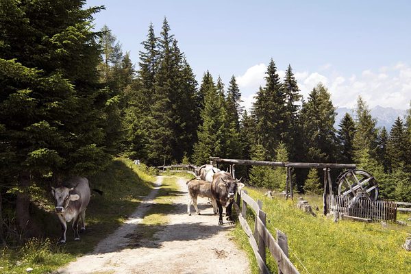 SLC - Tirol Werbung 1127270