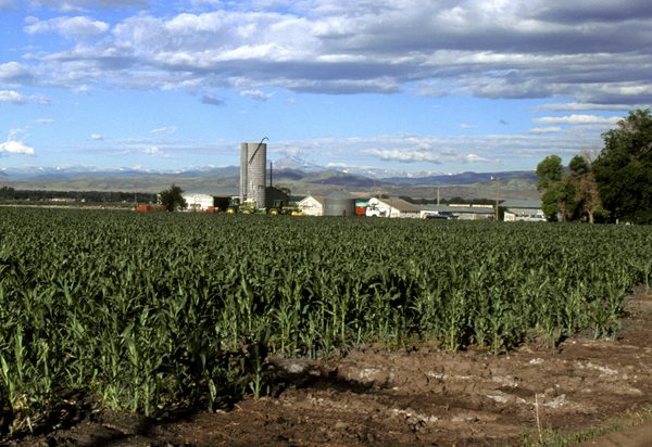 SLC - Usda K4250 8 Webben