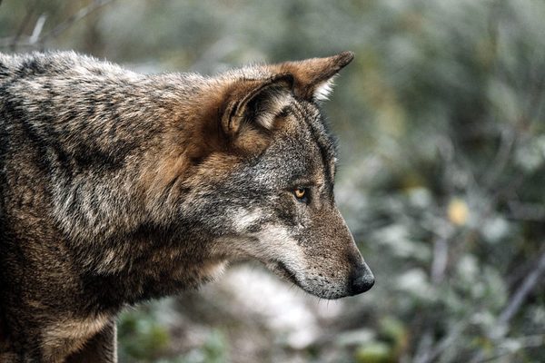SLC - Unsplash Federico Di Dio Photography Zufm Oywi Jxo Unsplash