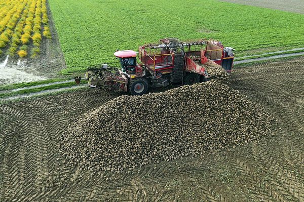 SLC - Wvz Ruebenernte 2020 Roder Abladung