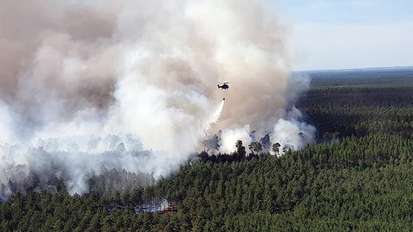 SLC - Waldbrand Loeschhubschrauber Feuerwehr Ub