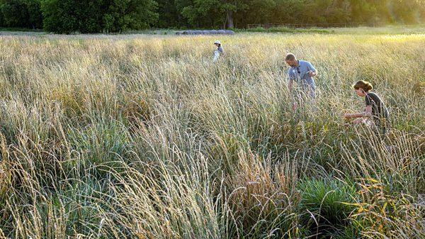 SLC - Yale Field Work July 2019 11 Web