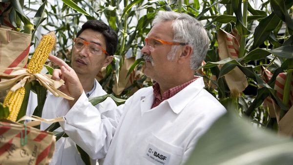 SLC - Basf Csm 1030 More Efficient Agriculture D F364159Be8