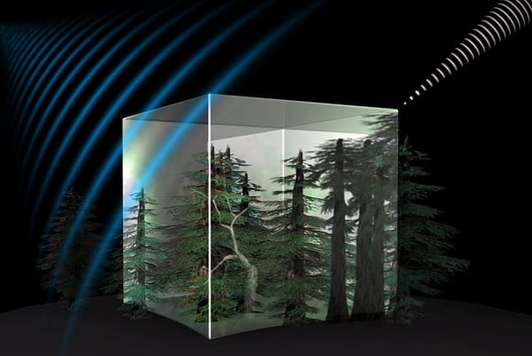 SLC - Bild Biomass Esa Aoes Medialab
