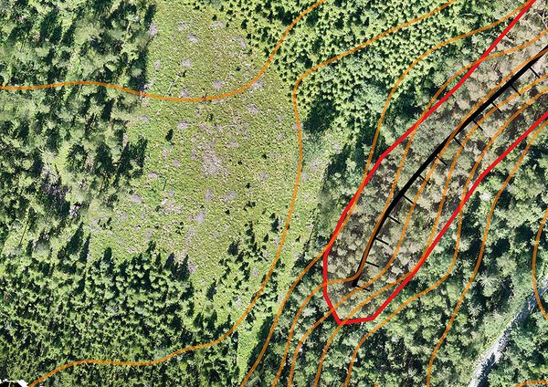 SLC - Dronekuva Metsalainvalvonta
