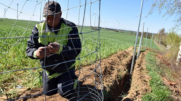 SLC - Dsc 0040 Media A496Dc81