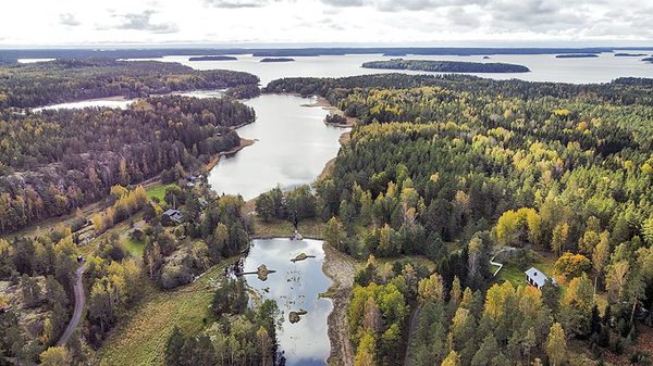 SLC - Fiskbackviken Iiris Kokkonen Wwf 2