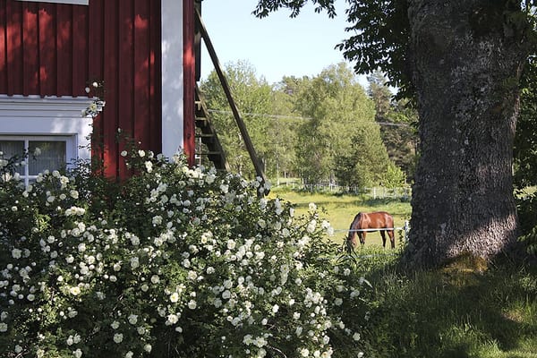 SLC - Gard Hast Aland Mw