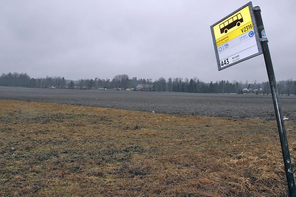 SLC - Inosning Saras