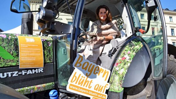 SLC - Kaniber Im Schlepper