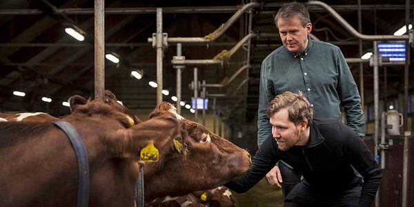 SLC - Kyr Werner Riktig Utstnitt 1