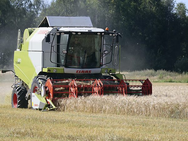 SLC - Lonsamhet 24 Ct