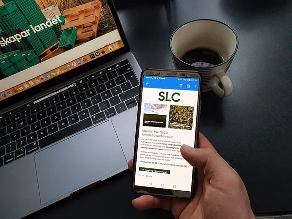 SLC - Medlem Slc Nyhetsbrev
